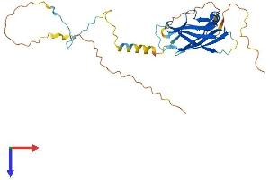 PPP1R3B Protein (AA 1-284) (His tag)