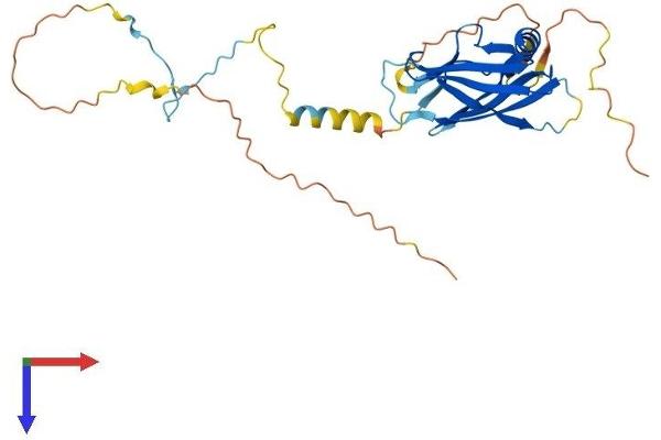 PPP1R3B Protein (AA 1-284) (His tag)
