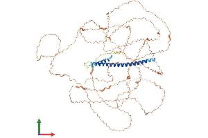 AlphaFold protein structure predicition of Human Recombinant NBPF14 Protein, UniprotID Q5TI25 (NBPF14 Protein (AA 1-921) (His tag))