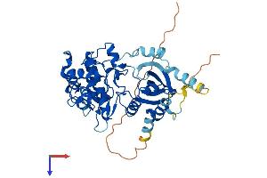 STK32B Protein (AA 1-414) (His tag)