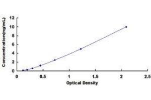 ELISA image for Toll-Like Receptor 1 (TLR1) ELISA Kit (ABIN3156662)