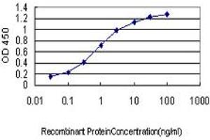 ELISA image for anti-Myristoylated Alanine-Rich Protein Kinase C Substrate (MARCKS) (AA 2-65) antibody (ABIN561708)