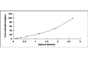 Secreted Frizzled-Related Protein 5 (SFRP5) ELISA Kit