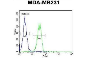 Flow Cytometry (FACS) image for anti-UDP-Gal:betaGlcNAc beta 1,4-Galactosyltransferase, Polypeptide 6 (B4GALT6) (AA 322-350), (C-Term) antibody (ABIN950594)