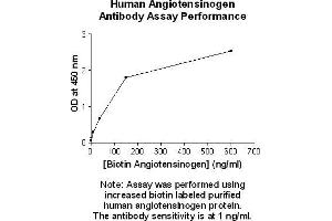 Image no. 1 for anti-Angiotensinogen (serpin Peptidase Inhibitor, Clade A, Member 8) (AGT) antibody (Biotin) (ABIN5567490) (AGT Antikörper  (Biotin))