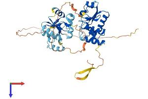 DUSP7 Protein (AA 1-422) (His tag)