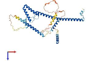 SURF6 Protein (AA 1-361) (His tag)