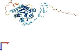 GTF2H3 Protein (AA 1-309) (His tag)