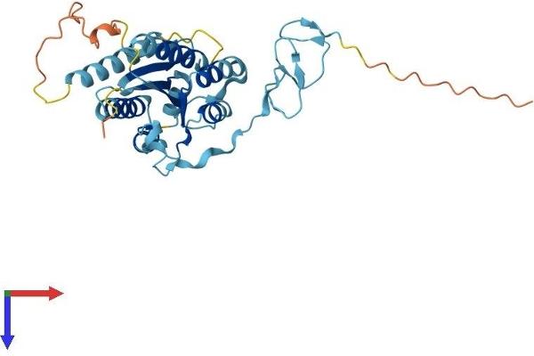 GTF2H3 Protein (AA 1-309) (His tag)