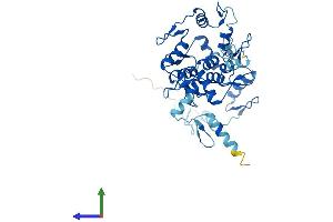 AlphaFold protein structure predicition of Human Recombinant ZNF883 Protein, UniprotID P0CG24 (ZNF883 Protein (AA 1-379) (His tag))