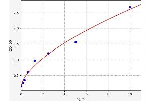 Retinoid X Receptor alpha ELISA Kit