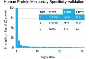Analysis of HuProt(TM) microarray containing more than 19,000 full-length human proteins using recombinant TL1A antibody (clone rVEGI/1283). (TNFSF15 Antikörper)