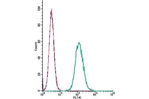 anti-Glucagon-Like Peptide 1 Receptor (GLP1R) (AA 288-301), (Extracellular) antibody