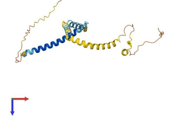 TPD52L2 Protein (AA 1-220) (His tag)
