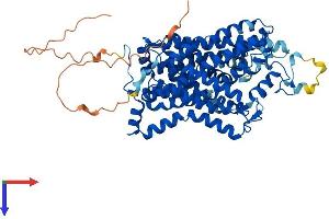 SLC6A11 Protein (AA 1-632) (His tag)