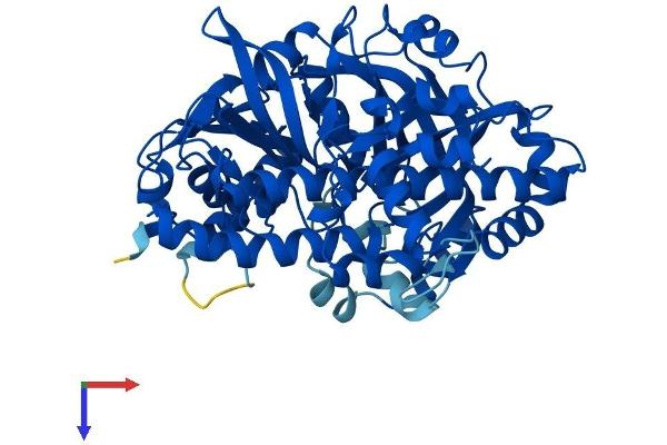 C22orf28 Protein (AA 1-505) (His tag)