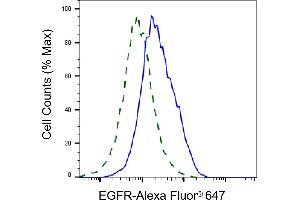 Validation of EGFR knockdown using flow cytometry.