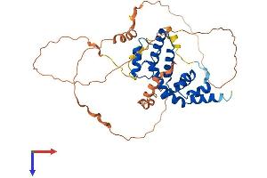 RGS20 Protein (AA 1-388) (His tag)