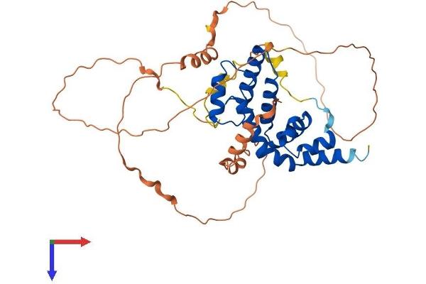 RGS20 Protein (AA 1-388) (His tag)