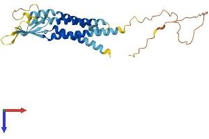 CACNG5 Protein (AA 1-275) (His tag)