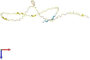 VCX3A Protein (AA 1-186) (His tag)