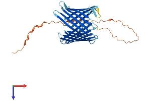 TOMM40 Protein (AA 1-361) (His tag)