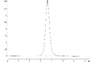 Size-exclusion chromatography-High Pressure Liquid Chromatography (SEC-HPLC) image for Natural Killer Cell Cytotoxicity Receptor 3 Ligand 1 (NCR3LG1) (AA 25-262) protein (His tag) (ABIN7273955)