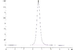 The purity of Human B7-H6 is greater than 95 % as determined by SEC-HPLC. (B7-H6 Protein (AA 25-262) (His tag))