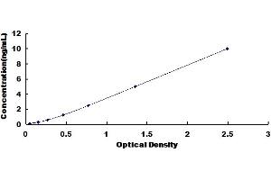 Typical Standard Curve for Rat CDK5 ELISA. (CDK5 ELISA Kit)