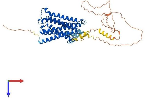 Muscarinic Acetylcholine Receptor M2 Protein (AA 1-466) (His tag)