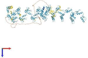 AlphaFold protein structure predicition of Human Recombinant ZNF850 Protein, UniprotID A8MQ14