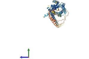 Protein Structure (PS) image for Neuropeptide Y Receptor Y5 (NPY5R) (AA 1-445) protein (His tag) (ABIN7549956)