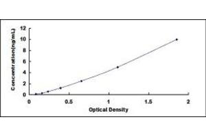 Typical standard curve (GATA5 ELISA Kit)