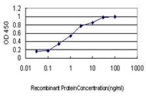 ELISA image for anti-Non-SMC Condensin I Complex, Subunit G (NCAPG) (AA 336-435) antibody (ABIN599293) (NCAPG Antikörper  (AA 336-435))
