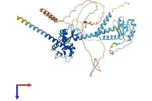 LARP7 Protein (AA 1-582) (His tag)