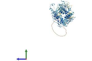 Protein Structure (PS) image for Zinc Finger Protein 14 Homolog (ZFP14) (AA 1-642) protein (His tag) (ABIN7545506)
