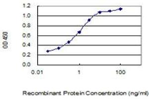 Detection limit for recombinant GST tagged BRI3BP is 0. (BRI3BP Antikörper  (AA 1-251))