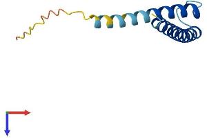 TIMM13 Protein (AA 1-95) (His tag)