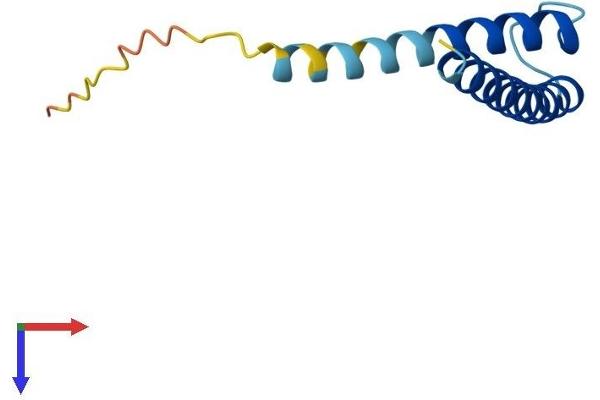 TIMM13 Protein (AA 1-95) (His tag)