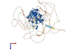 PHF8 Protein (AA 1-1060) (His tag)