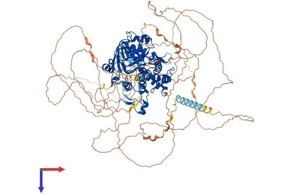 PHF8 Protein (AA 1-1060) (His tag)