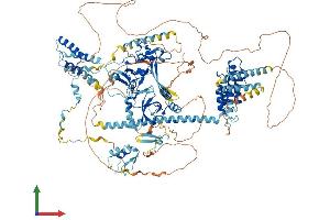 Protein Structure (PS) image for Bromodomain and PHD Finger Containing, 1 (BRPF1) (AA 1-1214) protein (His tag) (ABIN7552708)