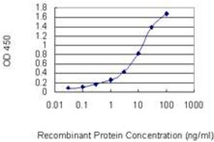 ELISA image for anti-Chromatin Assembly Factor 1, Subunit B (p60) (CHAF1B) (AA 201-300) antibody (ABIN563563)