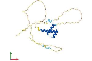 Protein Structure (PS) image for Intestine-Specific Homeobox (ISX) (AA 1-245) protein (His tag) (ABIN7548669)
