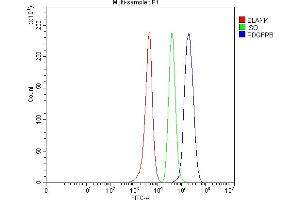 Flow Cytometry analysis of SH-SY5Y cells using anti-PDGFRB antibody (ABIN5693171). (PDGFRB Antikörper  (AA 911-992))