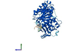 AlphaFold protein structure predicition of Human Recombinant TUBA1A Protein, UniprotID Q71U36