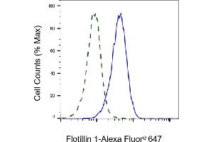 Validation of Flotillin 1 knockdown using flow cytometry. (Rekombinanter Flotillin 1 Antikörper)