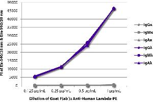 FLISA plate was coated with purified human IgGκ, IgMκ, IgAκ, IgGλ, IgMλ, and IgAλ. (Ziege anti-Human lambda (Chain lambda) Antikörper (PE))