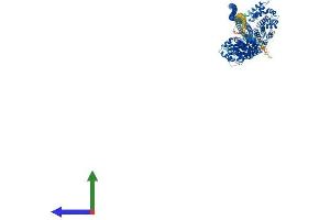 Protein Structure (PS) image for KIAA1524 (KIAA1524) (AA 1-905) protein (His tag) (ABIN7553438)
