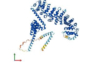 AlphaFold protein structure predicition of Mouse Recombinant Ttc12 Protein, UniprotID Q8BW49